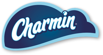 charminultrasoft.it.com